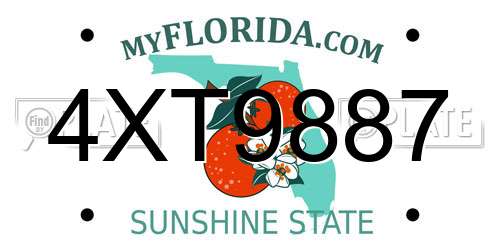 4XT9887 Florida License Plate