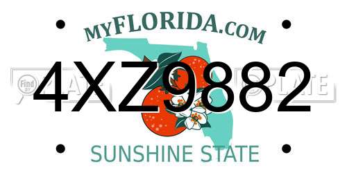 4XZ9882 Florida License Plate