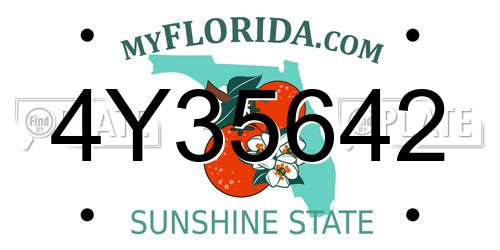 4Y35642 Florida License Plate