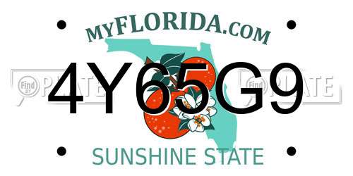 4Y65G9 Florida License Plate