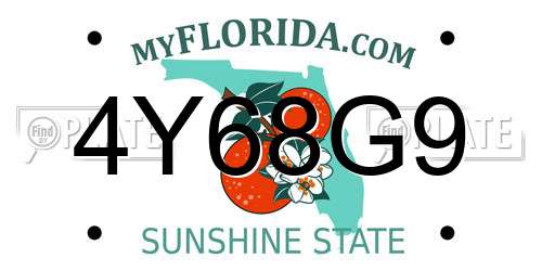 4Y68G9 Florida License Plate