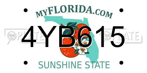 4YB615 Florida License Plate