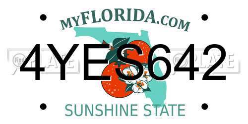 4YES642 Florida License Plate
