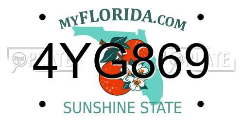 4YG869 Florida License Plate