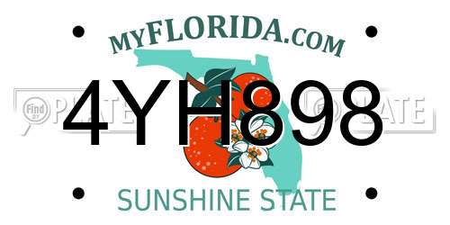 4YH898 Florida License Plate