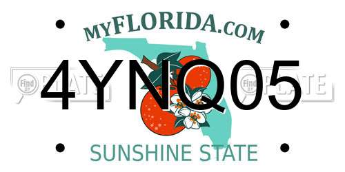 4YNQ05 Florida License Plate