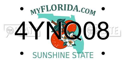 4YNQ08 Florida License Plate