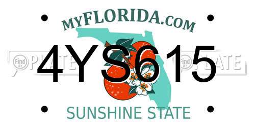 4YS615 Florida License Plate