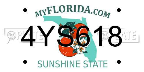 4YS618 Florida License Plate