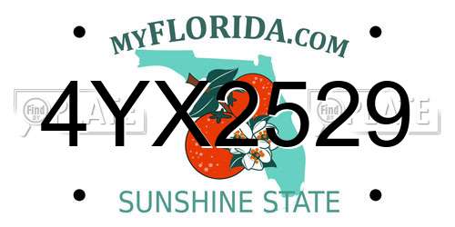 4YX2529 Florida License Plate