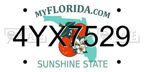 4YX7529 Florida License Plate