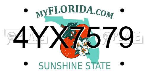 4YX7579 Florida License Plate