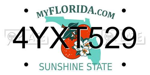 4YXT529 Florida License Plate