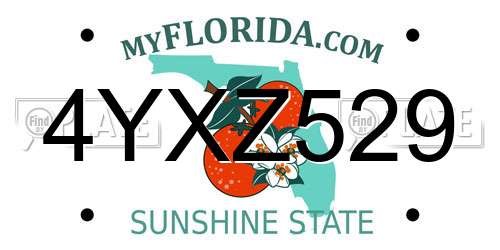 4YXZ529 Florida License Plate