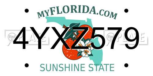 4YXZ579 Florida License Plate