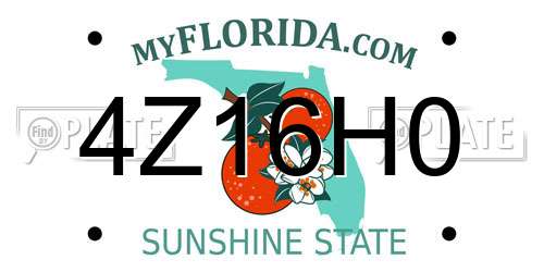 4Z16H0 Florida License Plate
