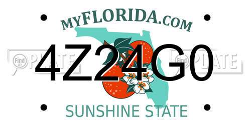 4Z24G0 Florida License Plate