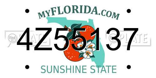 4Z55137 Florida License Plate