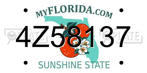 4Z58137 Florida License Plate