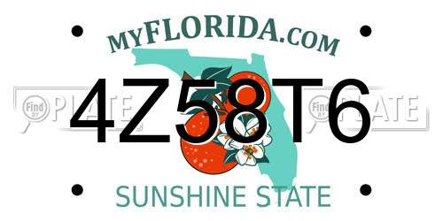 4Z58T6 Florida License Plate