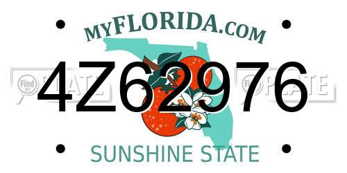 4Z62976 Florida License Plate