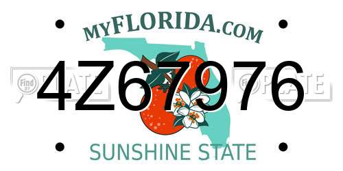 4Z67976 Florida License Plate