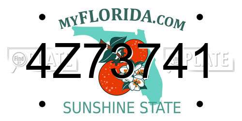 4Z73741 Florida License Plate