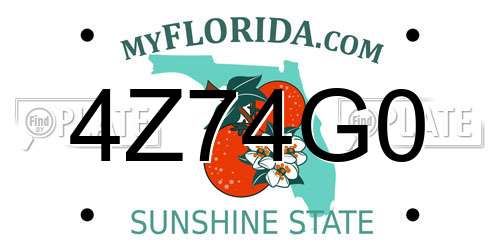 4Z74G0 Florida License Plate