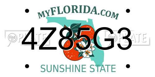 4Z85G3 Florida License Plate