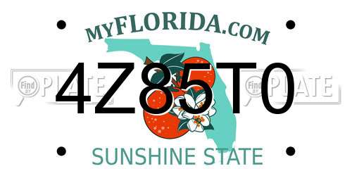 4Z85T0 Florida License Plate