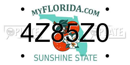 4Z85Z0 Florida License Plate