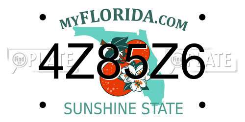 4Z85Z6 Florida License Plate