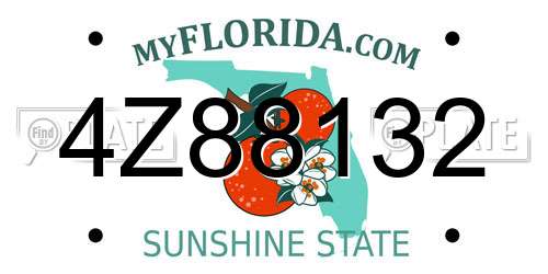 4Z88132 Florida License Plate