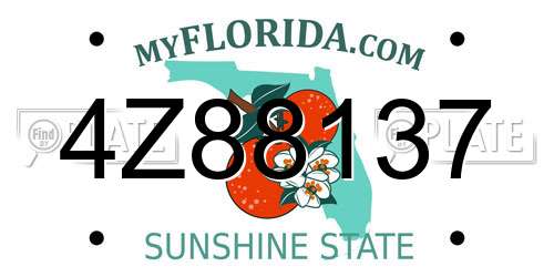 4Z88137 Florida License Plate