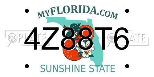 4Z88T6 Florida License Plate