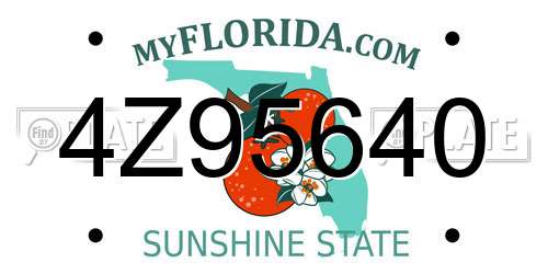 4Z95640 Florida License Plate