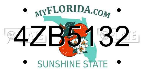 4ZB5132 Florida License Plate
