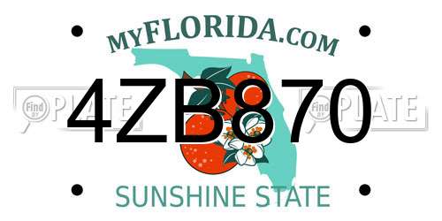 4ZB870 Florida License Plate