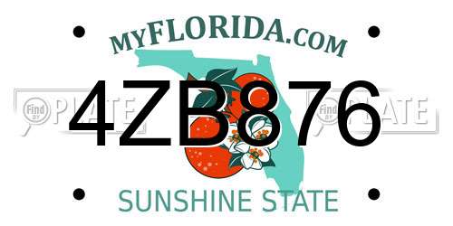 4ZB876 Florida License Plate