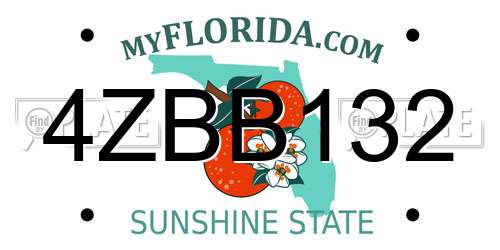 4ZBB132 Florida License Plate