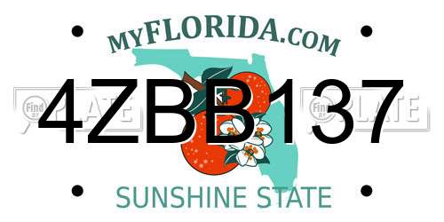 4ZBB137 Florida License Plate