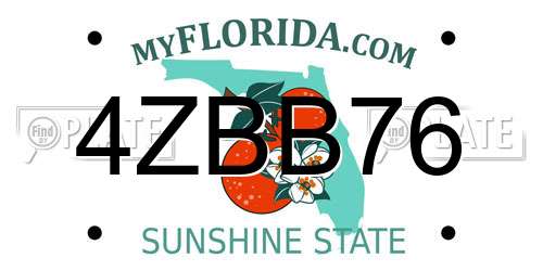 4ZBB76 Florida License Plate