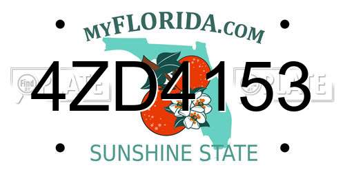 4ZD4153 Florida License Plate