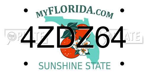 4ZDZ64 Florida License Plate