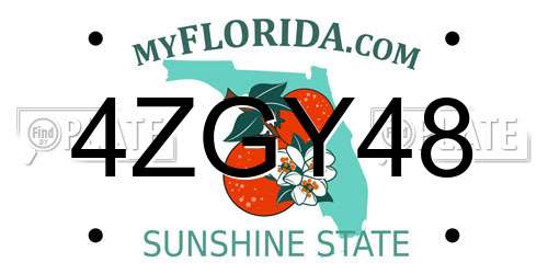 4ZGY48 Florida License Plate