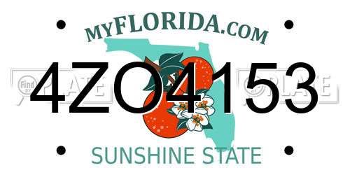 4ZO4153 Florida License Plate