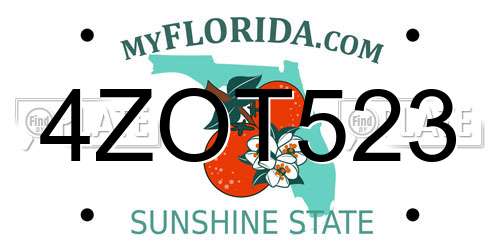 4ZOT523 Florida License Plate