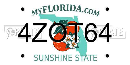 4ZOT64 Florida License Plate