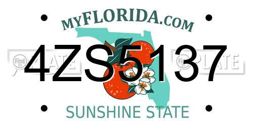 4ZS5137 Florida License Plate