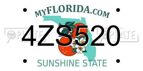 4ZS520 Florida License Plate